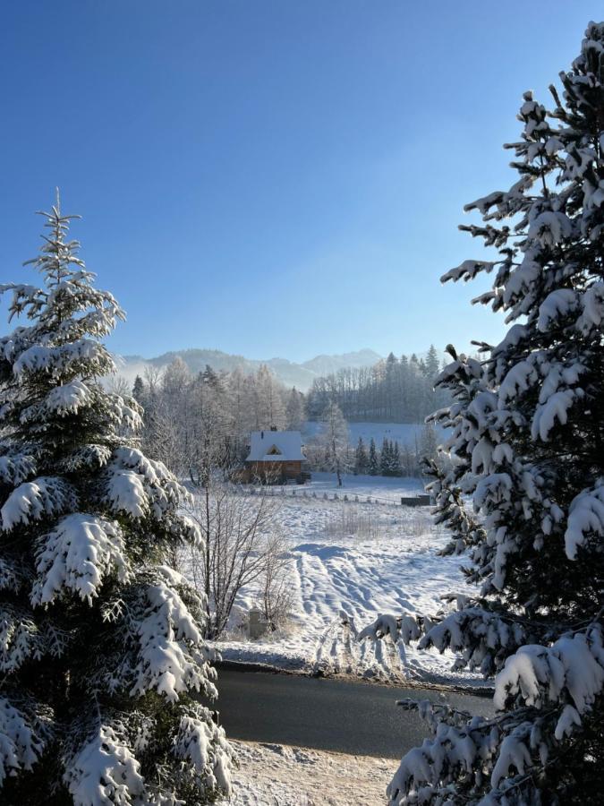 Kwatera Gorska 903Mnpm ซาโกปาเน ภายนอก รูปภาพ